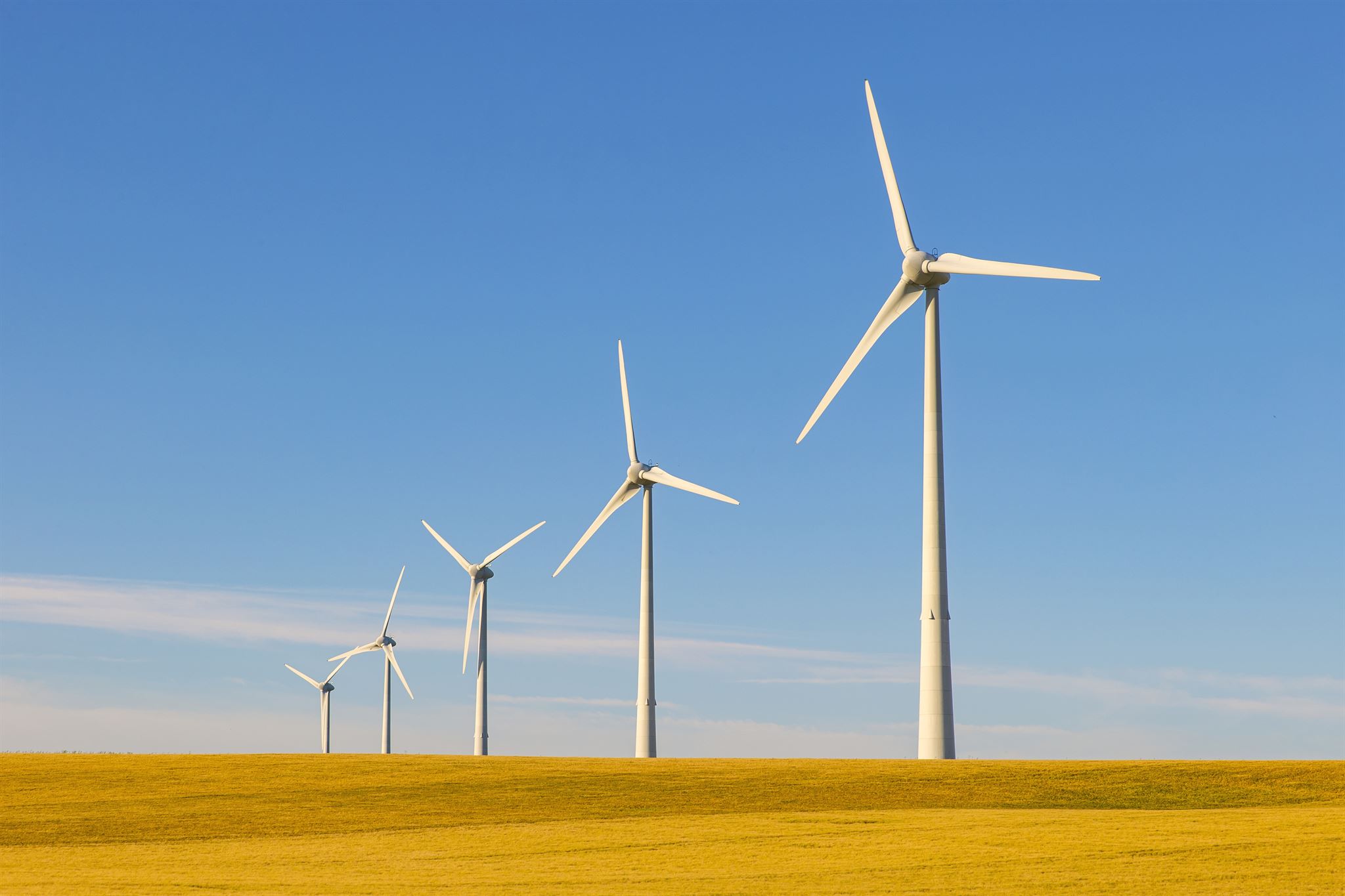 Éoliennes-dans-un-champ